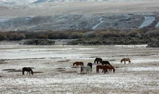 菏泽今冬首场降雪要来了 全国多地迎首场降雪