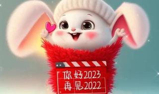 63年兔2023年7月退休能领多少钱 2023兔最火背景图片