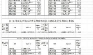 四川化工职业技术学院有哪些系 四川化工职业技术学校